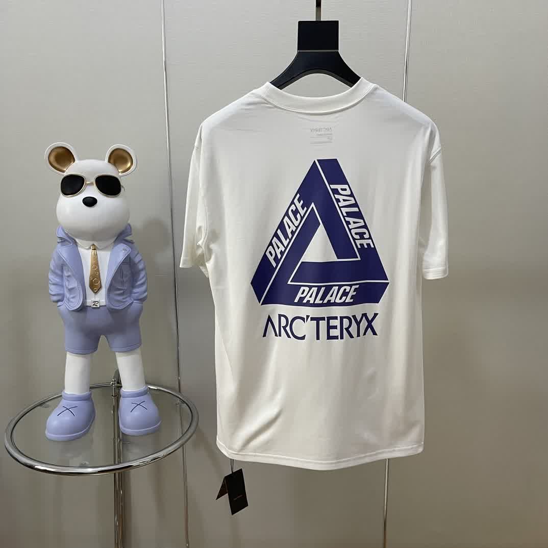 PLA0009