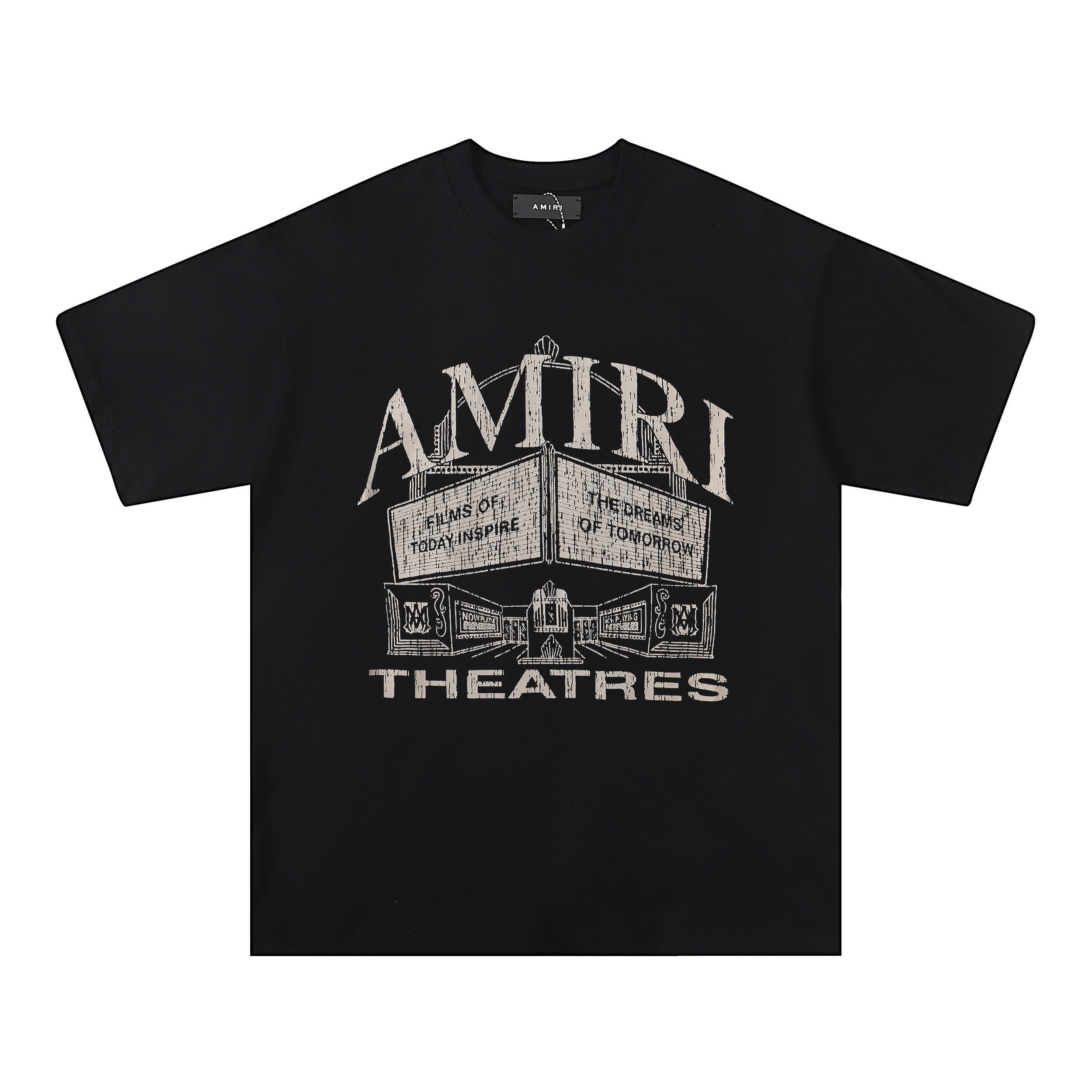 AMIR0070