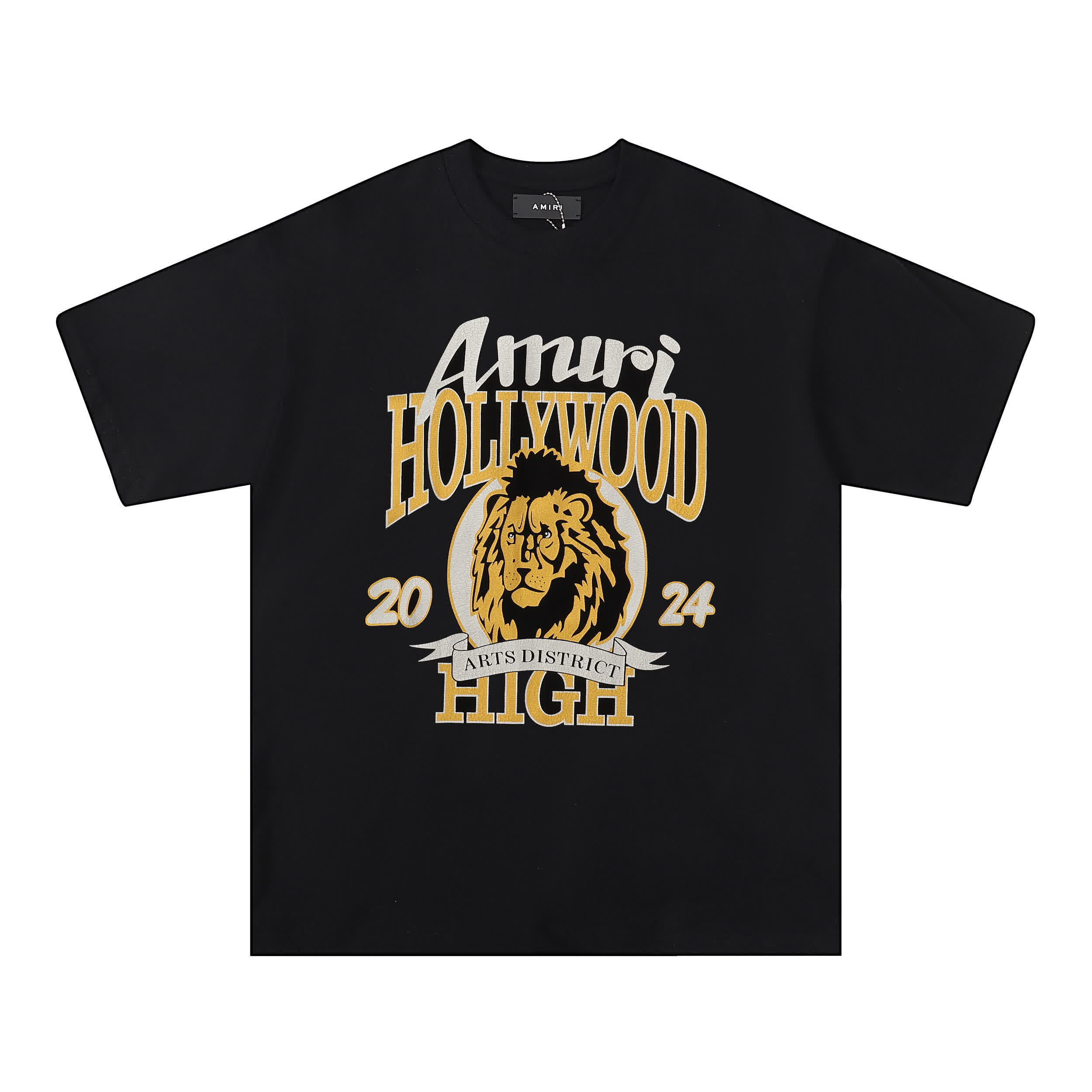 AMIR0072