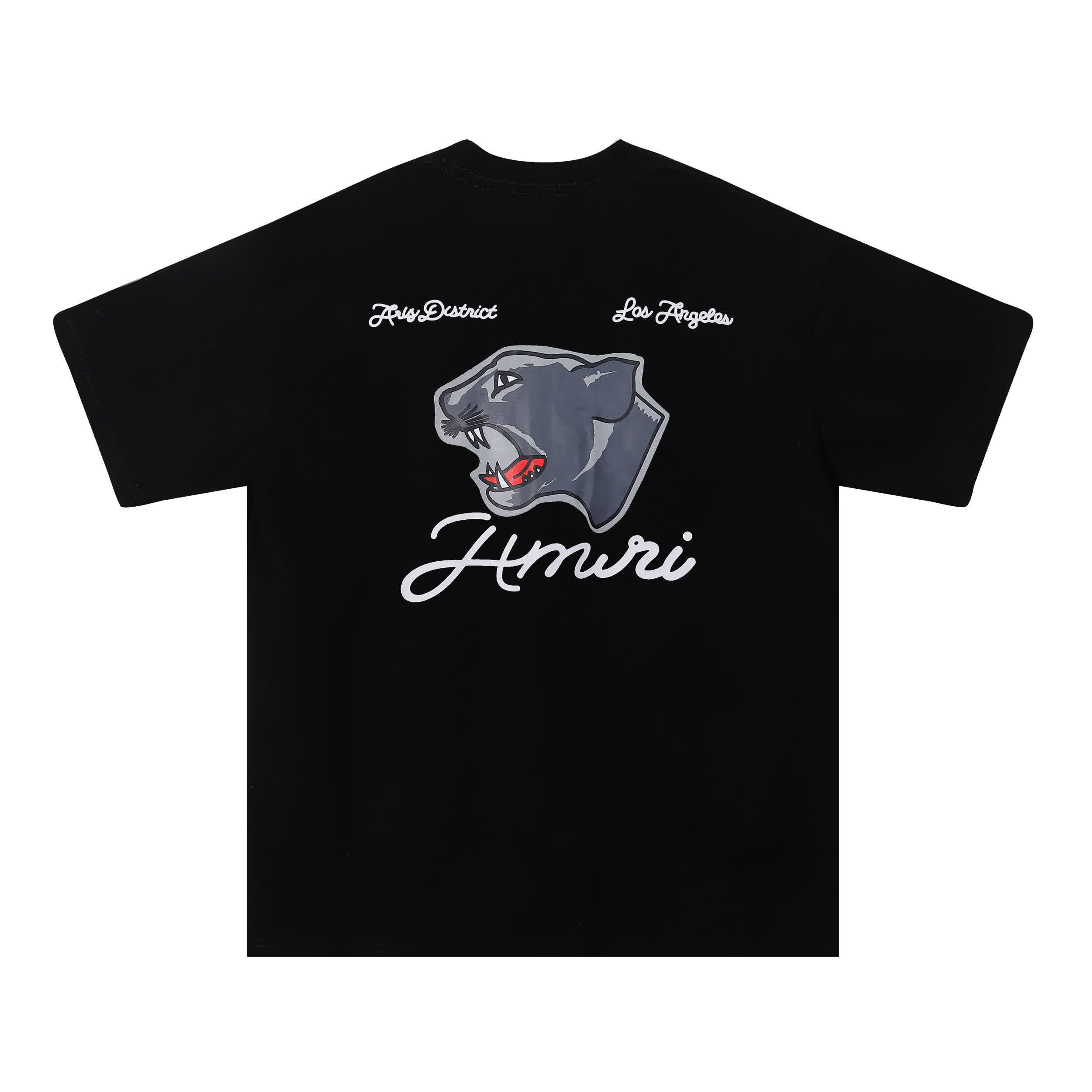 AMIR0082